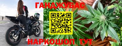 гидропоника Пугачёв