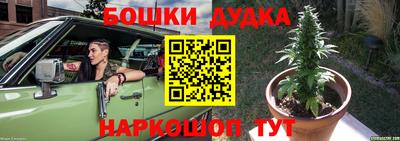 гидропоника Пугачёв