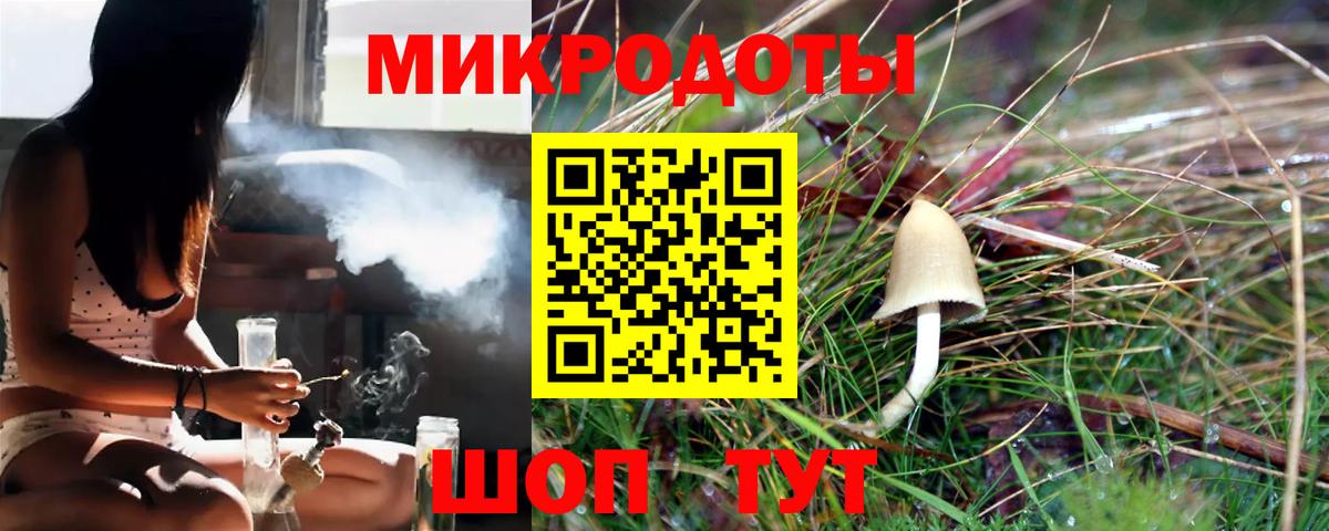 Псилоцибиновые грибы мицелий Пугачёв
